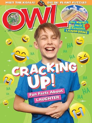 cover image of OWL
